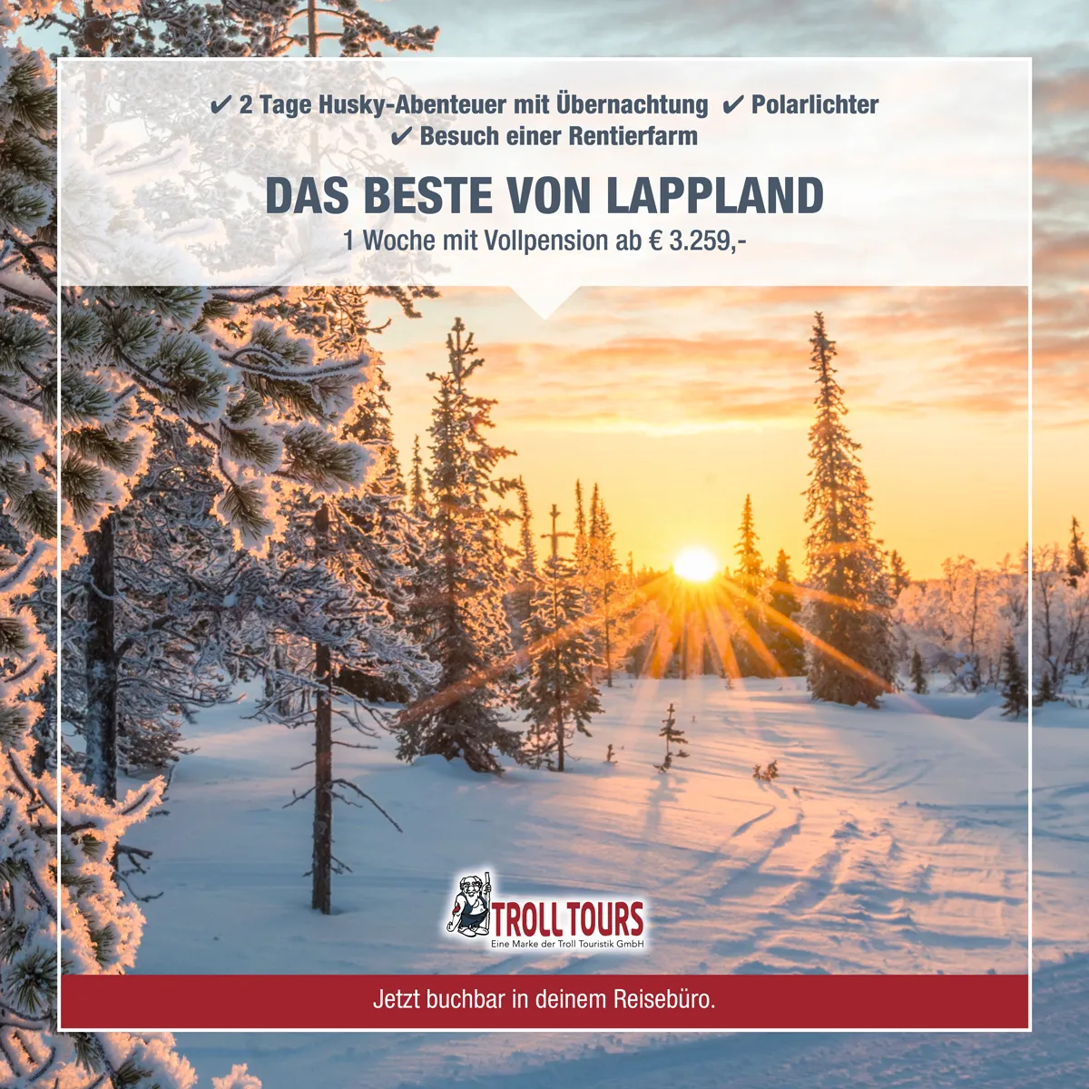Arktische Wildnis Finnisch-Lapplands erleben