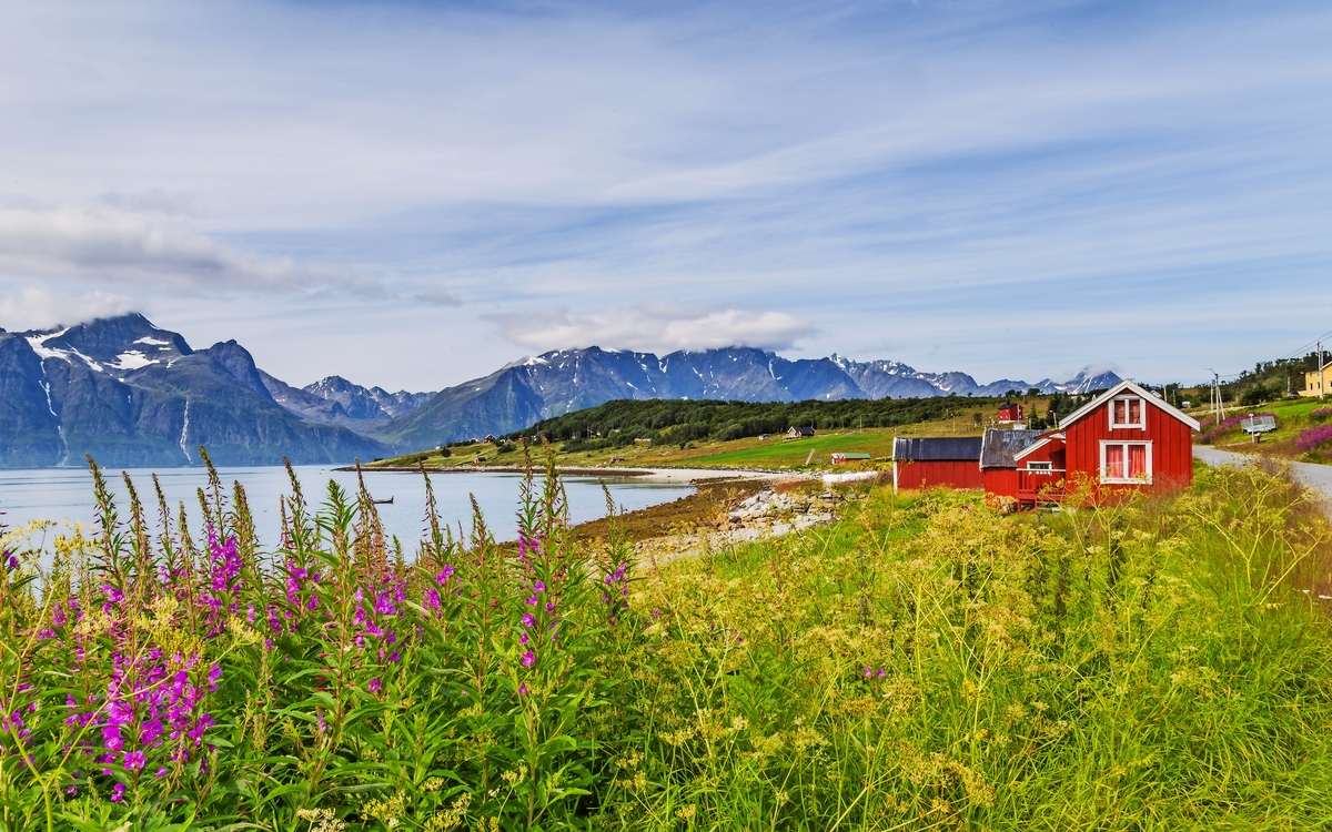 Typische skandinavische Landschaft mit lila Loosestrife entlang eines Sees und ein Gletscher im Hintergrund