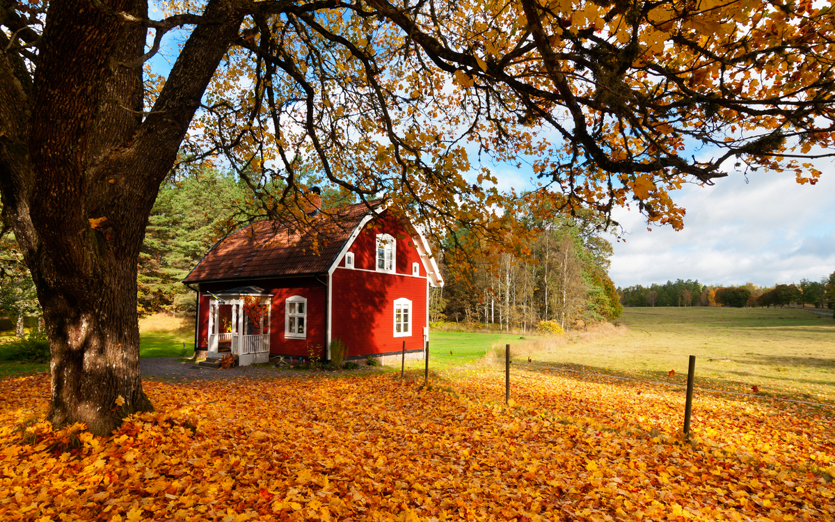 rotes Schwedenhaus im Herbst