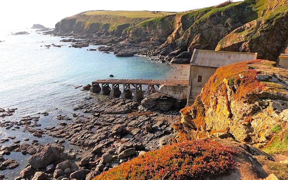 Lizard Point