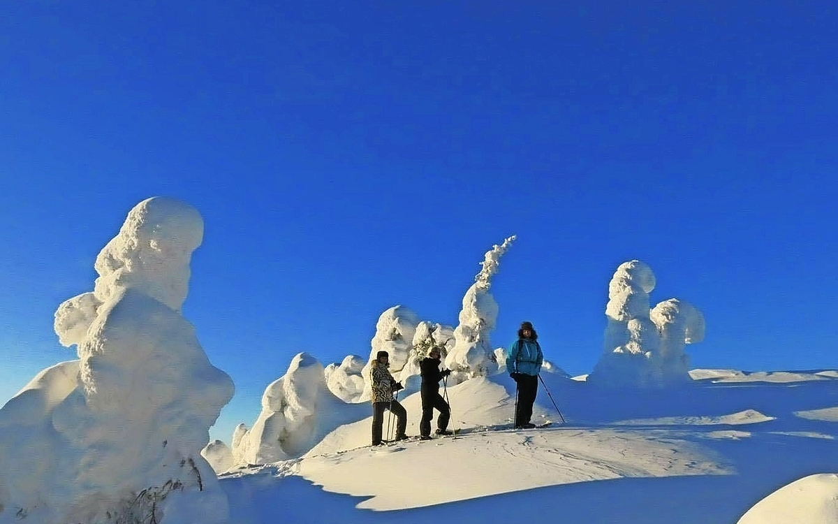 Isakkii Glass Village