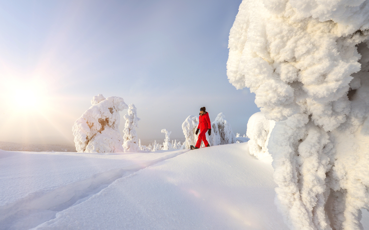 KIDE HOTEL by Iso Syöte