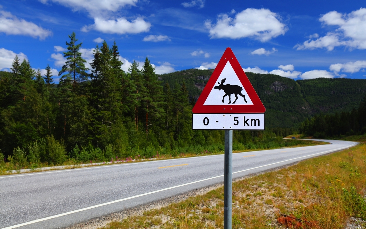 Warnschild für norwegische Elche