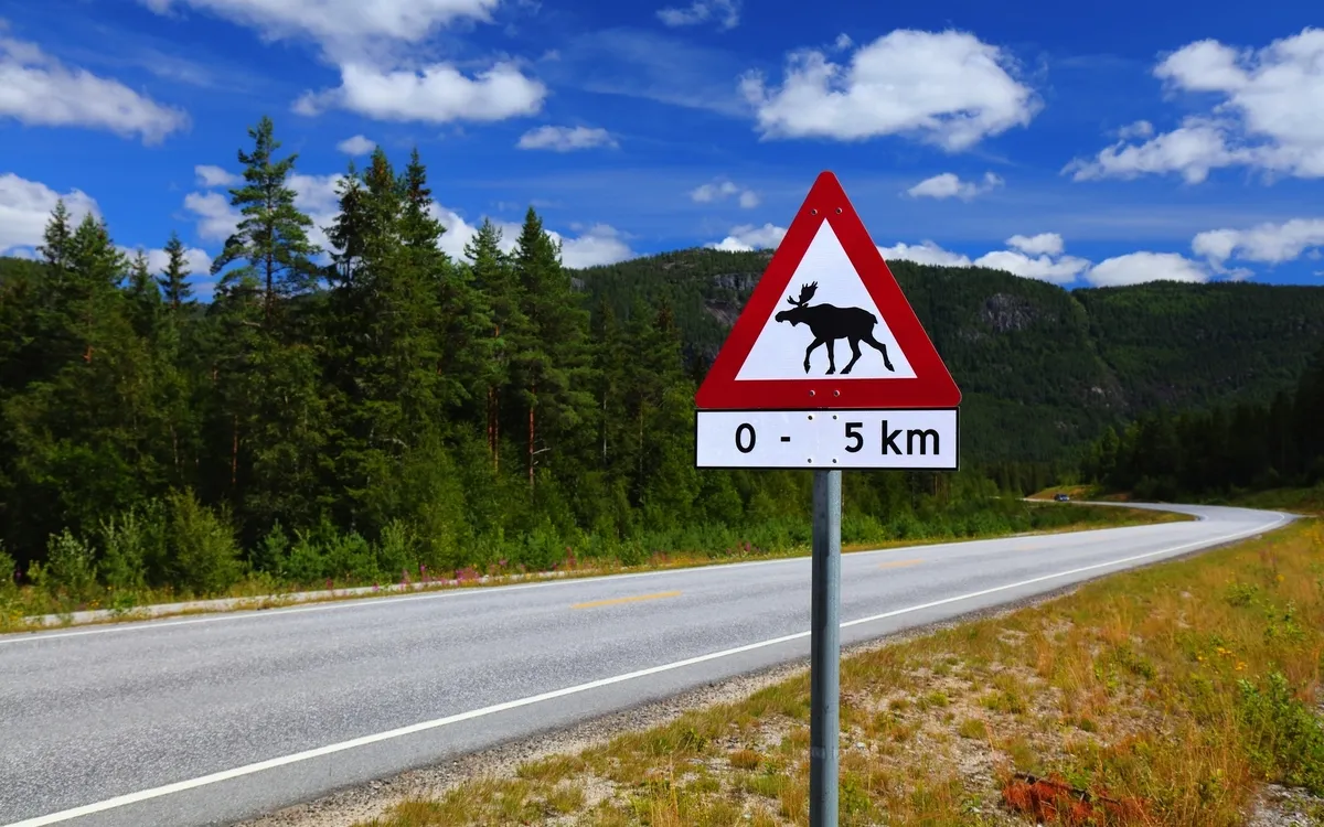 Warnschild für norwegische Elche