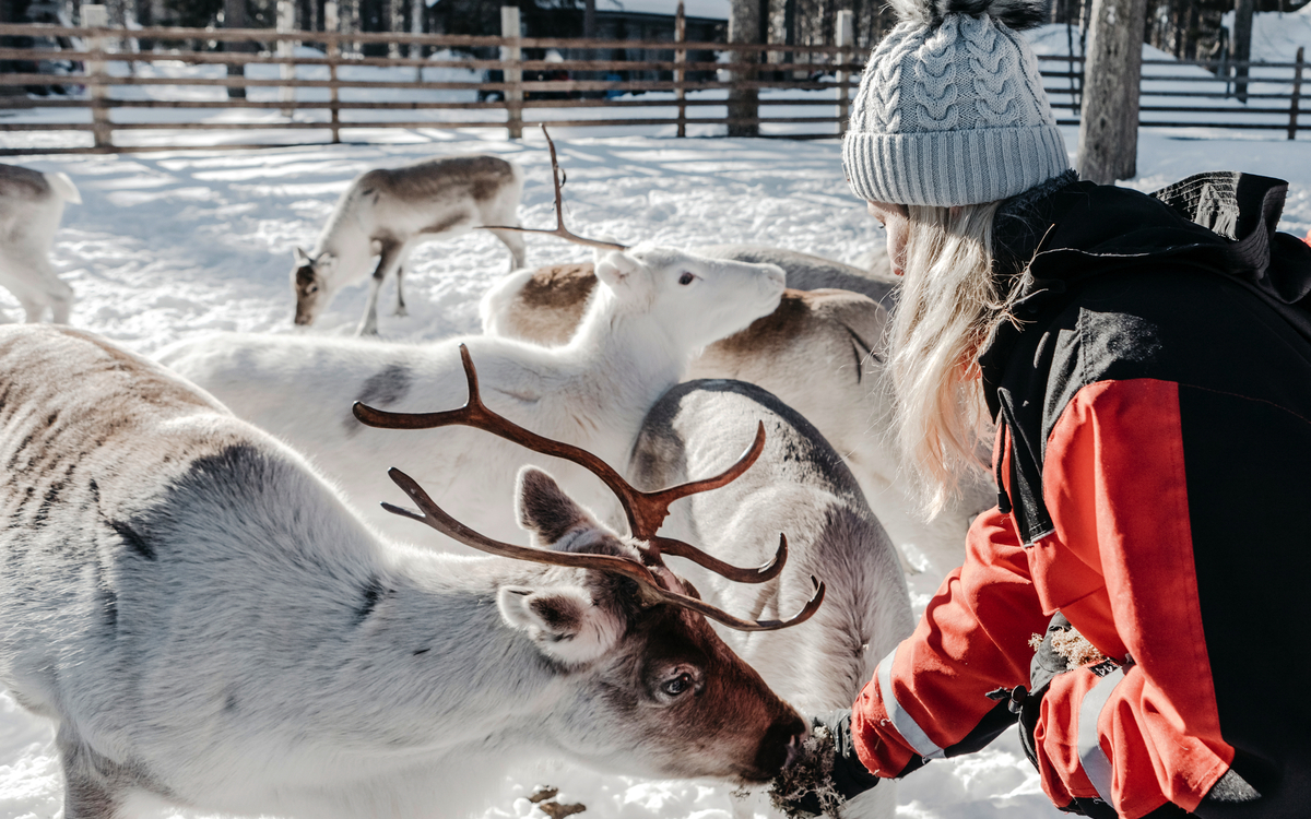 Lapland Hotels & Safaris