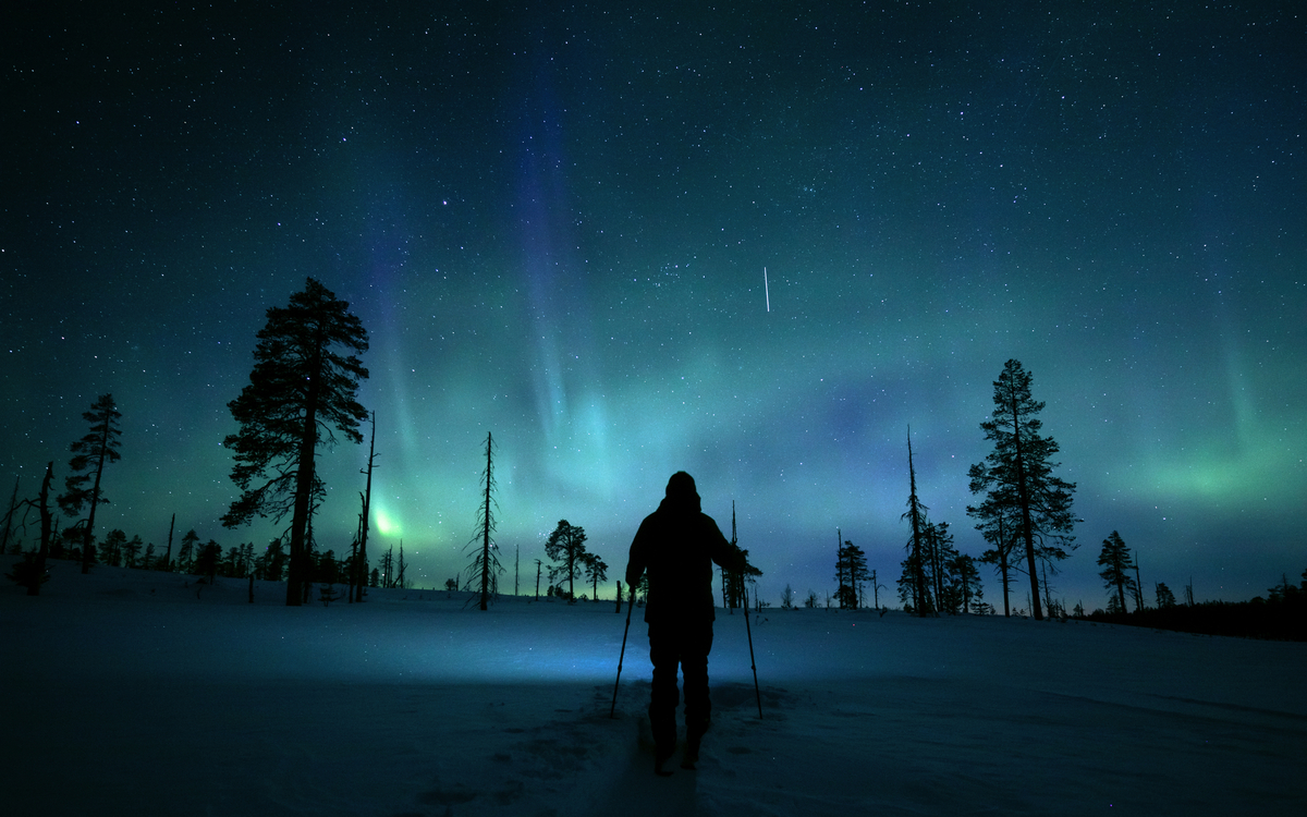 Lapland Hotels & SafarisLapland Hotels & Safaris