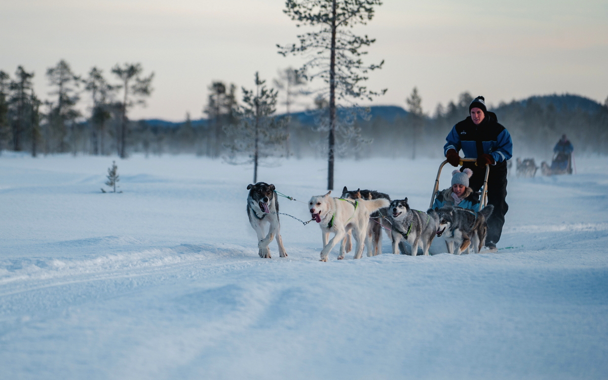 Wilderness Hotels & Safaris