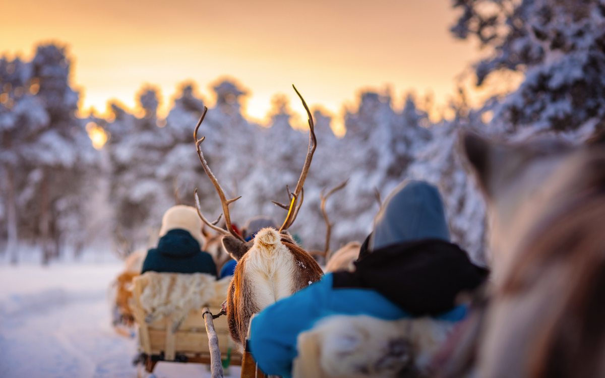 Wilderness Hotels & Safaris