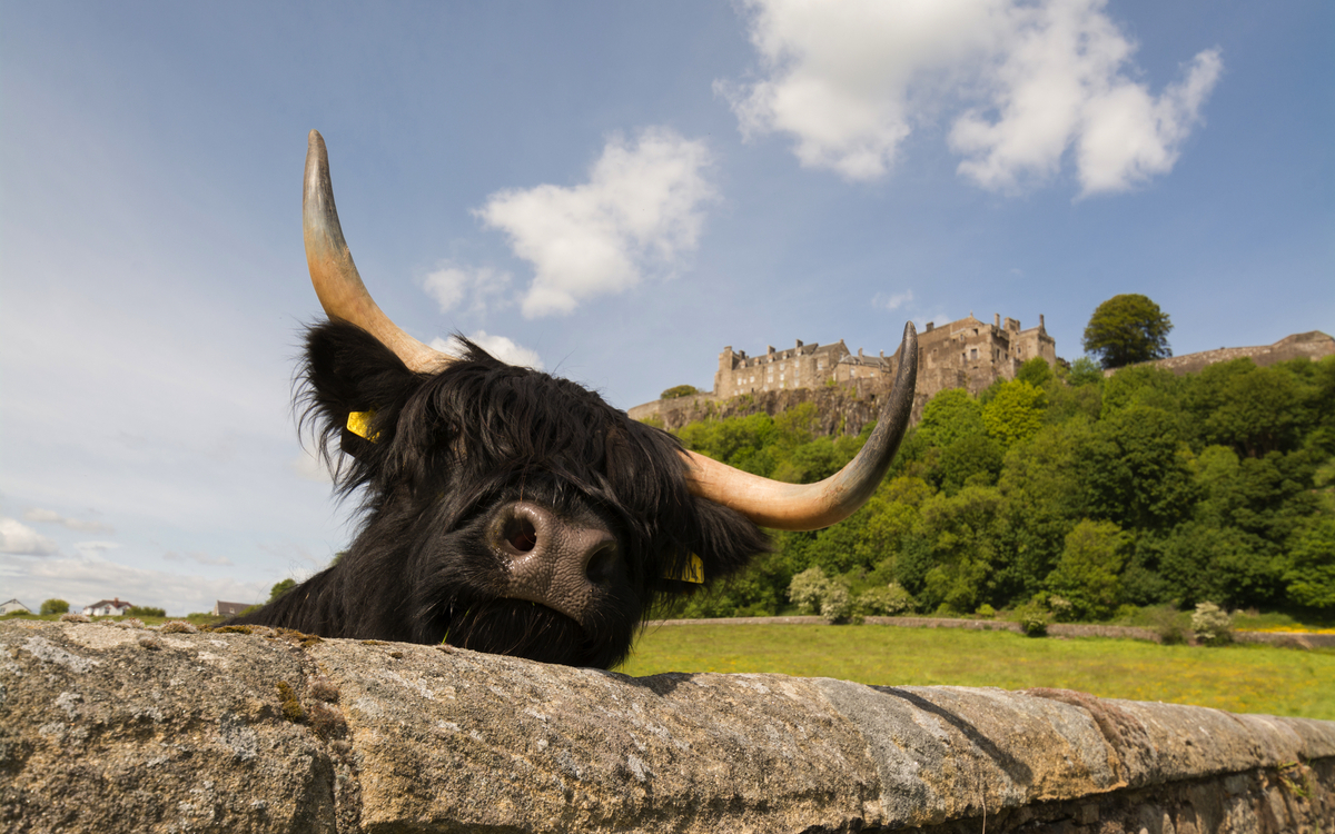 Stirling Castle