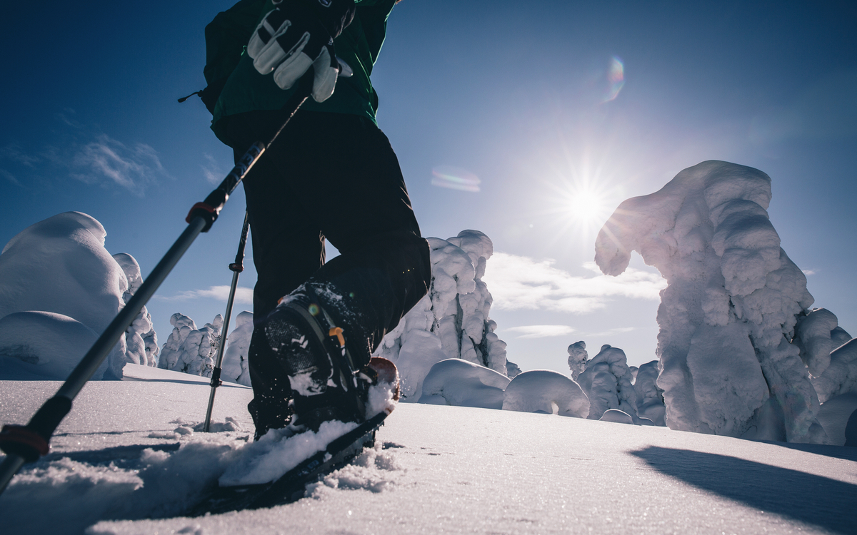 Lapland Safaris Snowshoeing