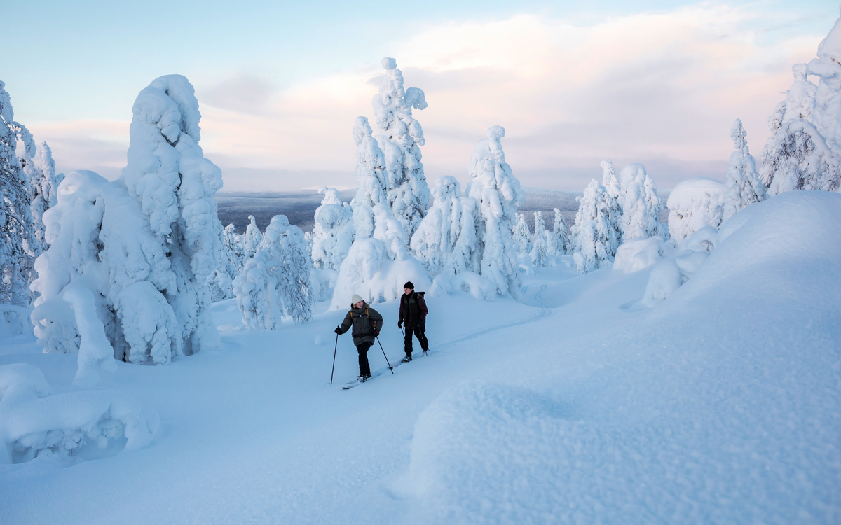 Lapland Hotels & Safaris