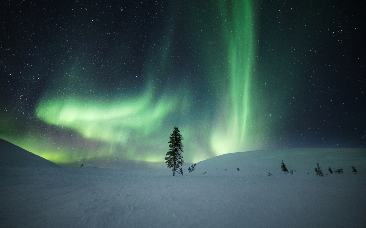 Lapland Hotels & Safaris