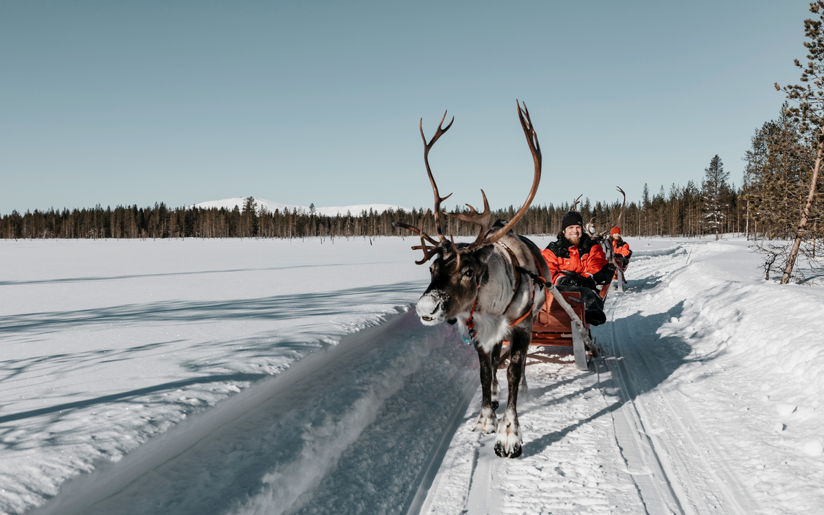 Lapland Hotels & Safaris